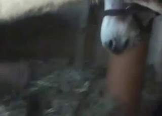 Amateur bestiality sex action in the barn