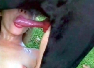 Two ladies fucking with shared labrador