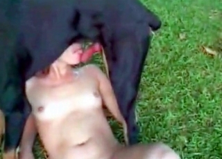 Two ladies fucking with shared labrador