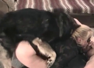 Angry doggy screwing her wet vagina