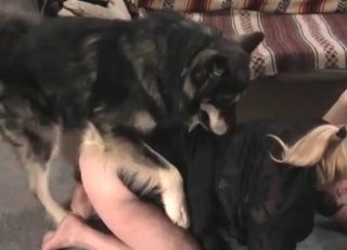 Angry doggy screwing her wet vagina