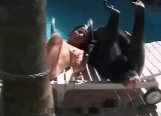 Stunning busty chick in bestiality XXX