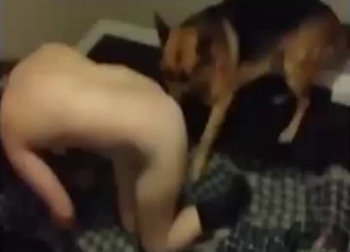 Amateur animal porn with a shepherd