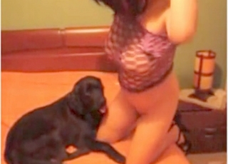 Black dog licks her wide-opened snatch