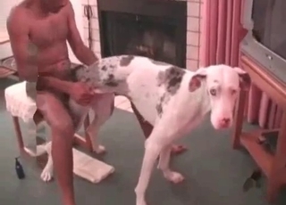 Sweet small doggy penetrated from behind