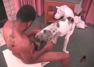 Sweet small doggy penetrated from behind