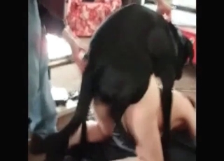Babe and doggy having disgusting sex