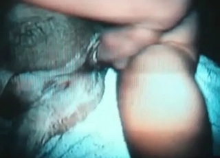 Fucking a tight wet pussy of a stallion