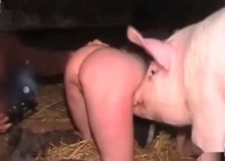 Sexy pig drills her cunt in the barn