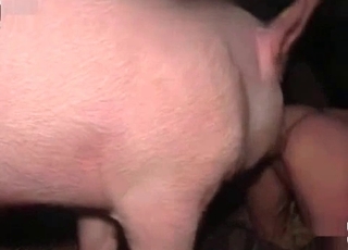 Sexy pig drills her cunt in the barn