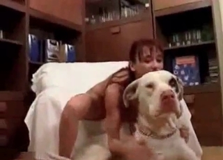 Slender zoophile fucked nicely by her dog