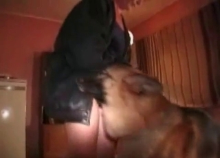 Dog fucked her wet crack with force