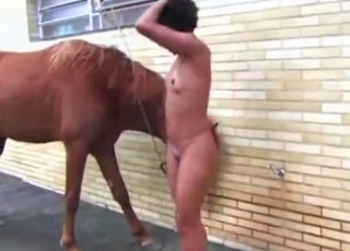 Sexy horse sniffing and licking her bottom