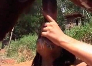 Sucking my lovely stallion at local farm