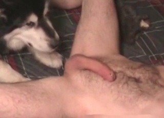 Animal sex look so freaking great and hot