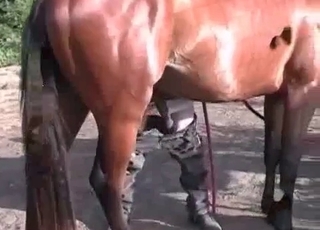 Sweet zoofil is trying crazy animal porn sex