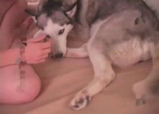 Gorgeous bestiality XXX pound session in close-up