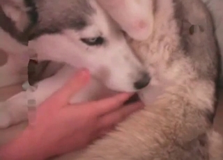Gorgeous bestiality XXX pound session in close-up
