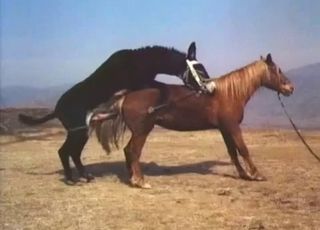 Astonishing and filthy as fuck bestiality