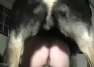 Animal and human having dirty bestiality sex