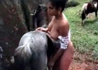 Sweet babe and her stallion having sex