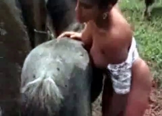 Sweet babe and her stallion having sex