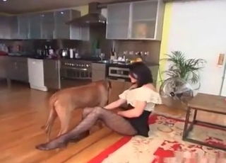 Dirty doggy wating her accurate vagina