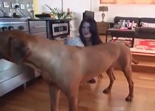 Dirty doggy wating her accurate vagina