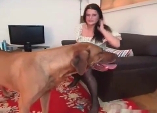 Dirty doggy wating her accurate vagina