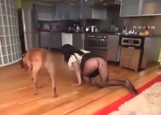 Dirty doggy wating her accurate vagina