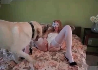 Maksed babe in stockings is trying bestiality