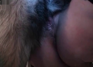 Sexy babe stimulates tasty doggy anus