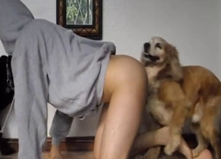 What could be better than bestiality sex
