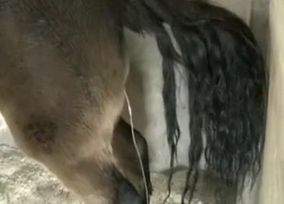 Good-looking homemade sex with my animal