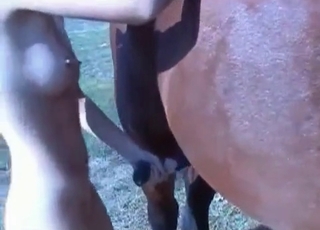 First-class bestiality XXX with my animal