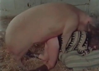 Good farm bestiality action with my wife