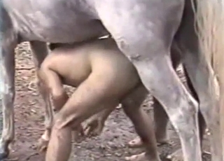 Dude is sucking stallion dick with love