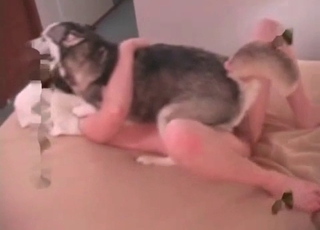 Sexy doggy fucked hard in cowgirl pose