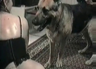 Amazing shepherd trained to fuck her ass