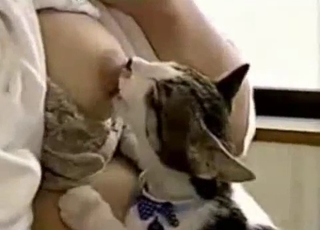 Cute kitty in amazing Japanese bestiality XXX