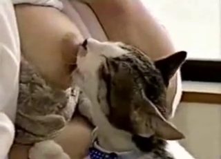 Cute kitty in amazing Japanese bestiality XXX