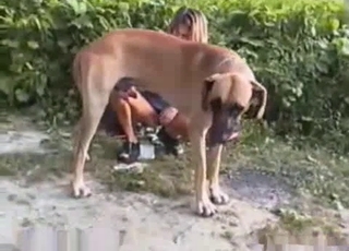 Amazing big dog and fully naked zoophile