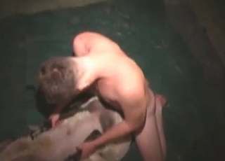 Sweet sheep fucked in the missionary pose