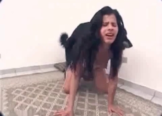Stunning black dog fucked her wet cunt