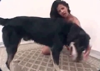 Stunning black dog fucked her wet cunt