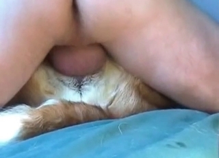 Stunning ZOO XXX porn session with wife