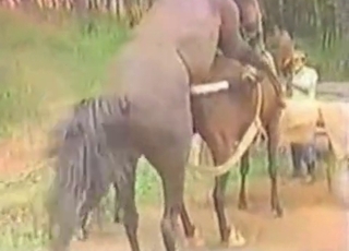Stunningly nasty amateur bestiality porn