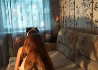 Gorgeous doggy style pound session with hound