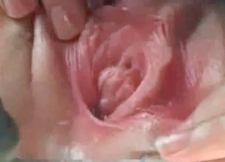Stretching my pussy for a sexy stallion