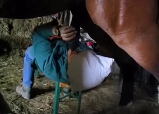 Passionate stallion pissing on her face